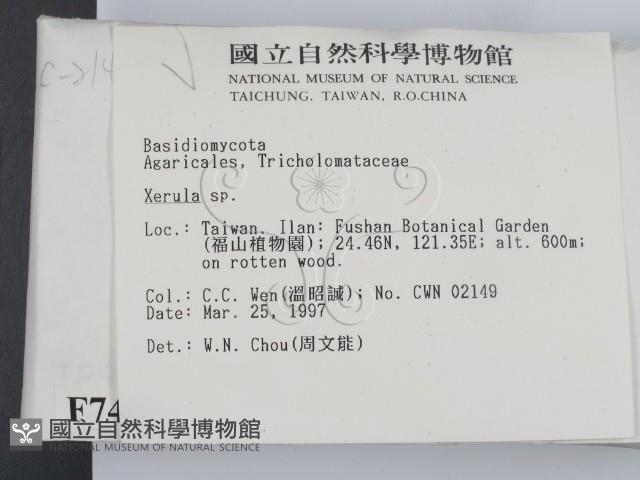 登錄號:F0007495藏品圖，第2張