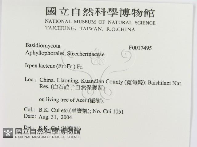 登錄號:F0017495藏品圖，第2張