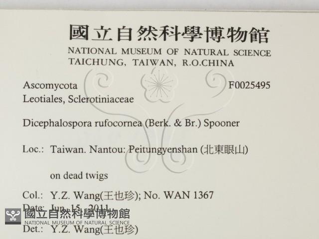 登錄號:F0025495藏品圖，第2張