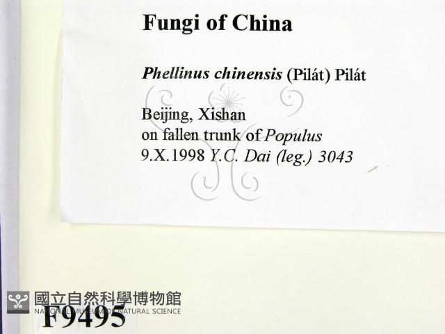 登錄號:F0009495藏品圖，第2張