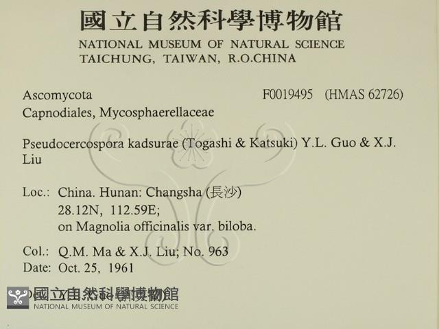 登錄號:F0019495藏品圖，第2張