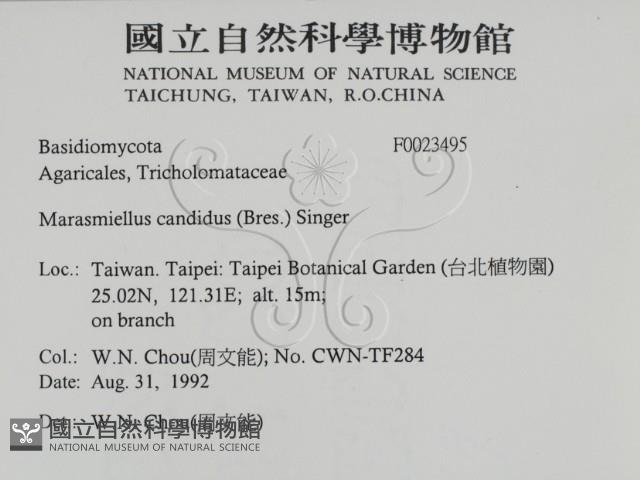 登錄號:F0023495藏品圖，第2張