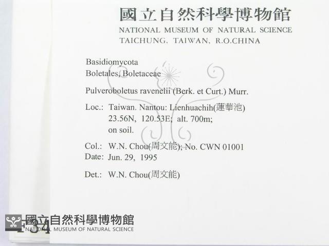 登錄號:F0003495藏品圖，第2張