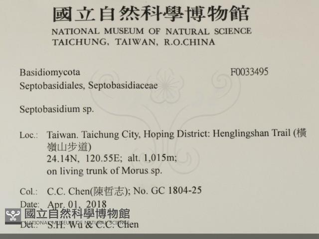 登錄號:F0033495藏品圖，第2張