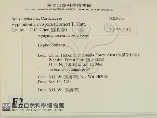 登錄號:F0028795藏品圖，第2張