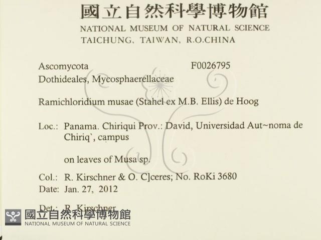 登錄號:F0026795藏品圖，第2張