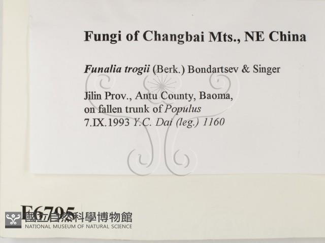 登錄號:F0006795藏品圖，第2張