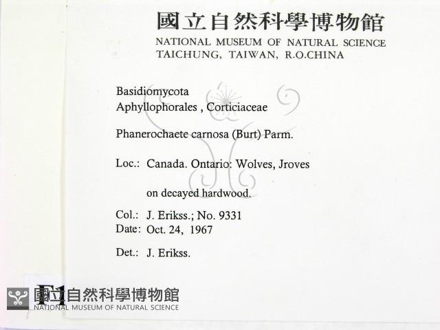 登錄號:F0016795藏品圖，第2張