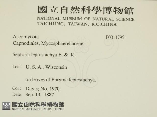 登錄號:F0011795藏品圖，第2張