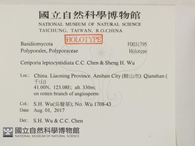 登錄號:F0031795藏品圖，第2張
