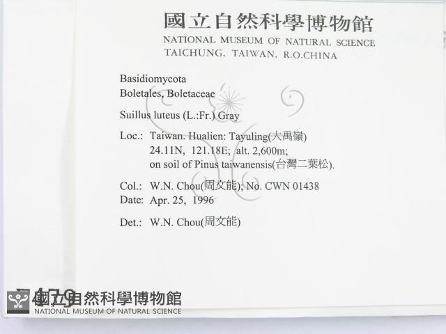 登錄號:F0004795藏品圖，第2張