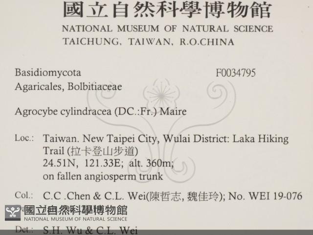 Accession Number:F0034795 Collection Image, Figure 2, Total 3 Figures