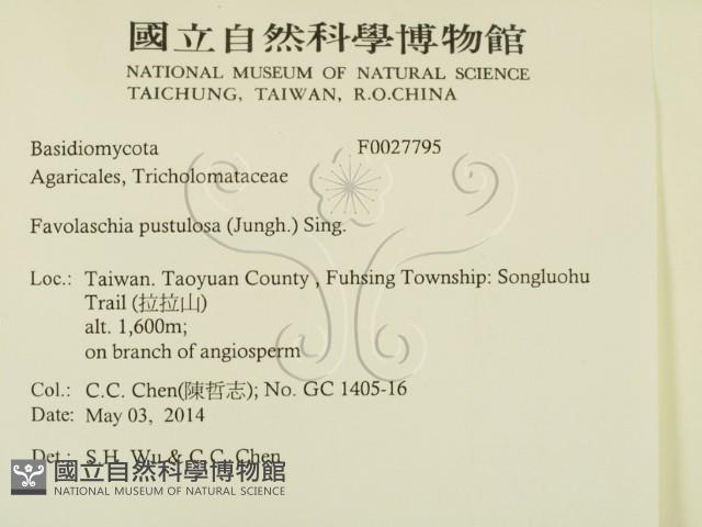 登錄號:F0027795藏品圖，第2張