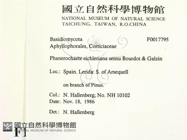 登錄號:F0017795藏品圖，第2張