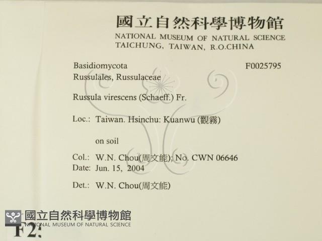 登錄號:F0025795藏品圖，第2張