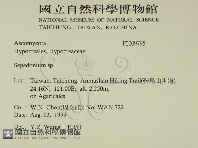 登錄號:F0009795藏品圖，第2張