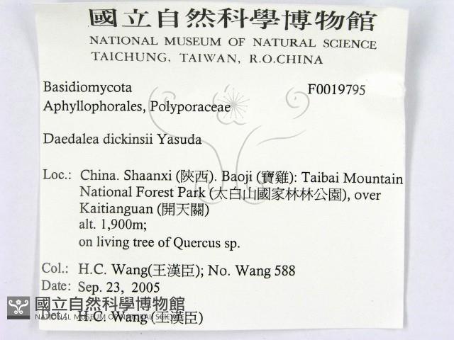 登錄號:F0019795藏品圖，第2張