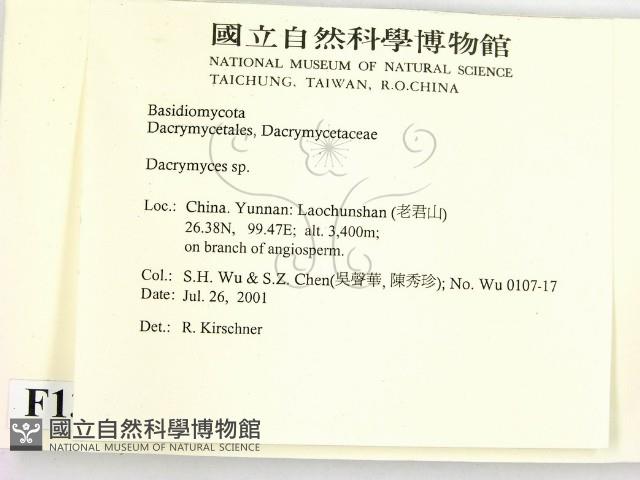 花耳屬藏品圖，第2張