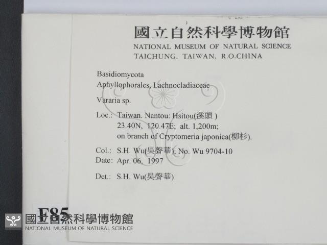 登錄號:F0008595藏品圖，第2張