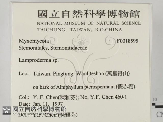登錄號:F0018595藏品圖，第2張
