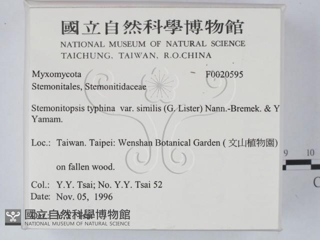 登錄號:F0020595藏品圖，第2張