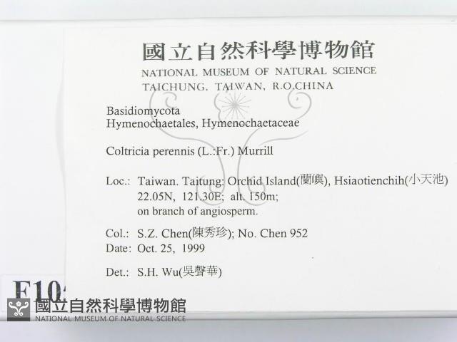 登錄號:F0010595藏品圖，第2張