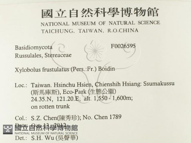 登錄號:F0026595藏品圖，第2張