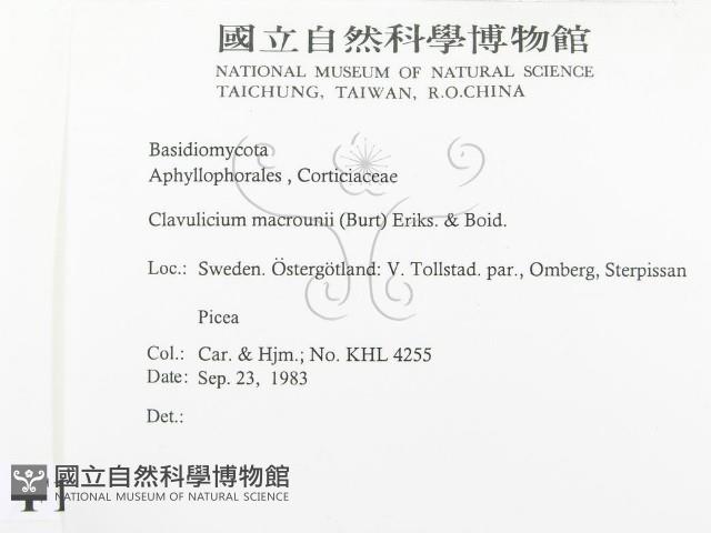 登錄號:F0016595藏品圖，第2張