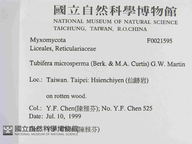 登錄號:F0021595藏品圖，第2張