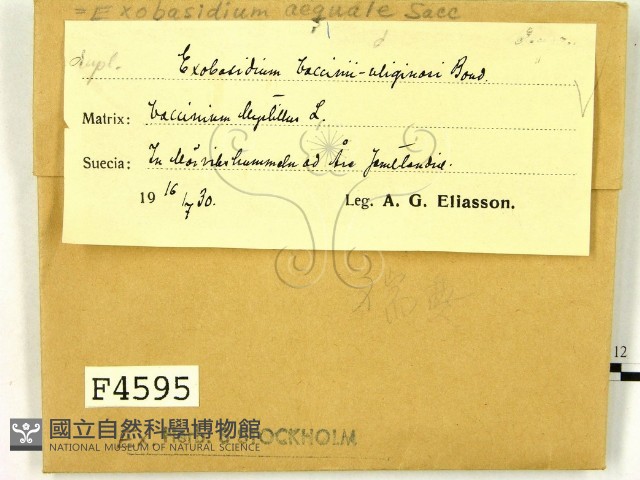 登錄號:F0004595藏品圖，第2張
