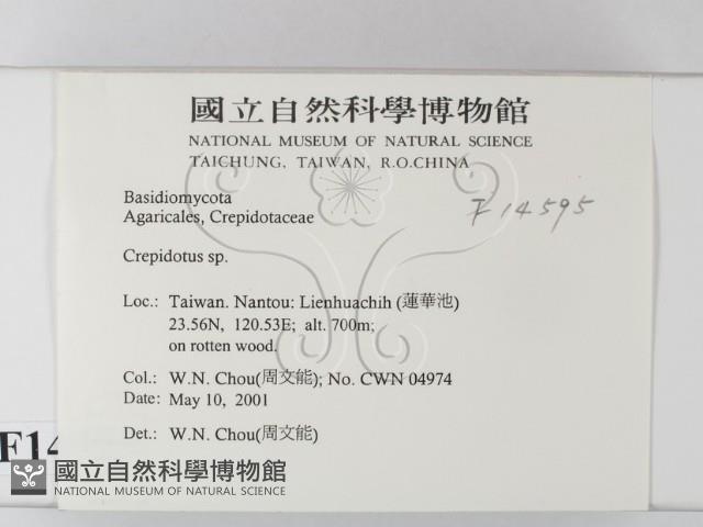 登錄號:F0014595藏品圖，第2張