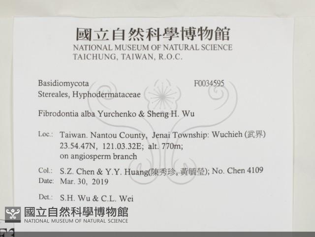 Accession Number:F0034595 Collection Image, Figure 2, Total 2 Figures