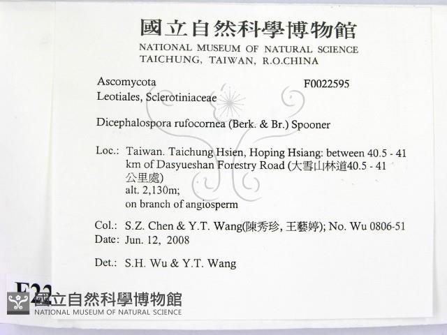 登錄號:F0022595藏品圖，第2張