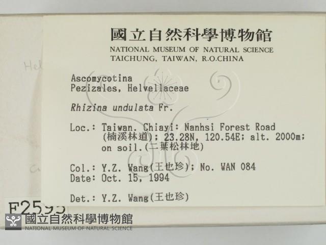 登錄號:F0002595藏品圖，第2張
