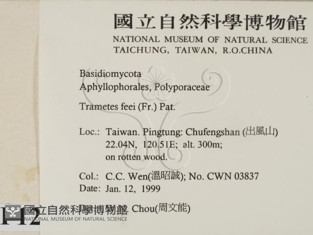 登錄號:F0012595藏品圖，第2張
