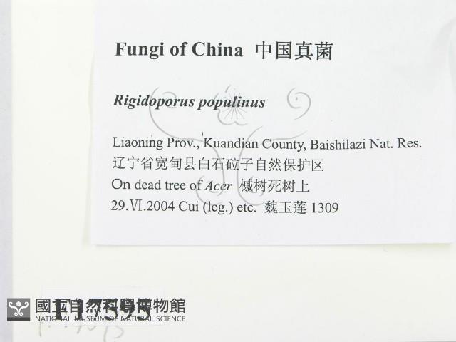 登錄號:F0017595藏品圖，第2張