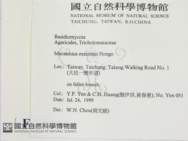 登錄號:F0015595藏品圖，第2張
