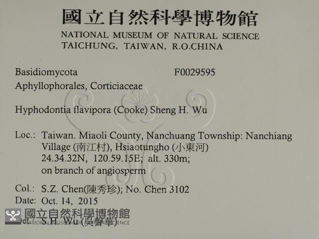 登錄號:F0029595藏品圖，第2張