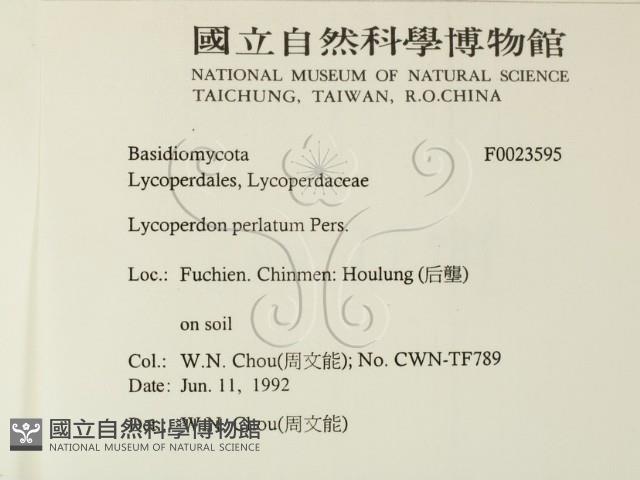 登錄號:F0023595藏品圖，第2張