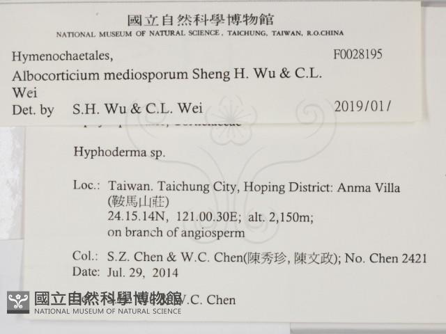 登錄號:F0028195藏品圖，第2張
