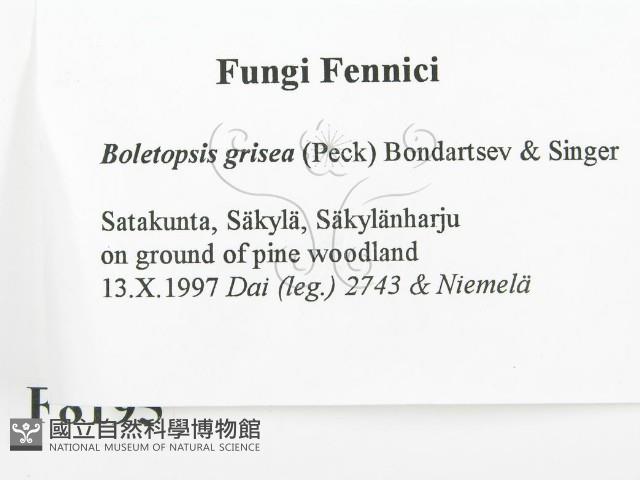 登錄號:F0008195藏品圖，第2張