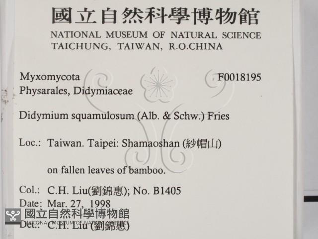 登錄號:F0018195藏品圖，第2張