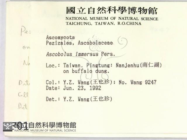 登錄號:F0000195藏品圖，第2張