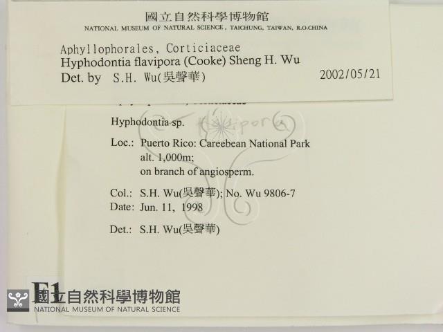 登錄號:F0010195藏品圖，第2張