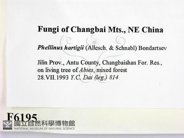 登錄號:F0006195藏品圖，第2張