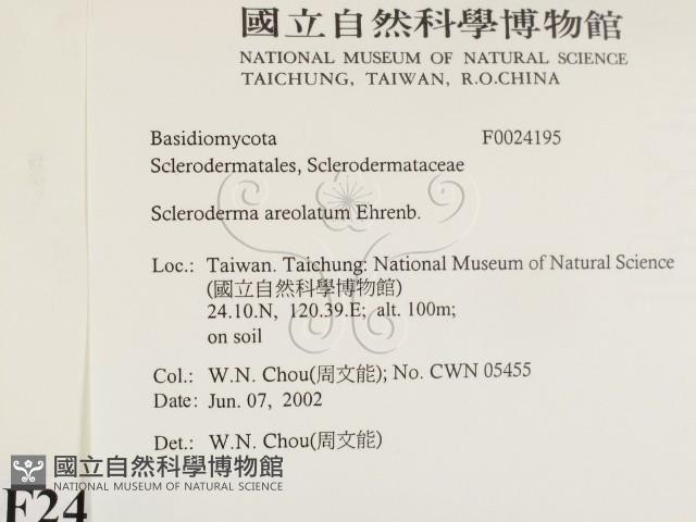 登錄號:F0024195藏品圖，第2張