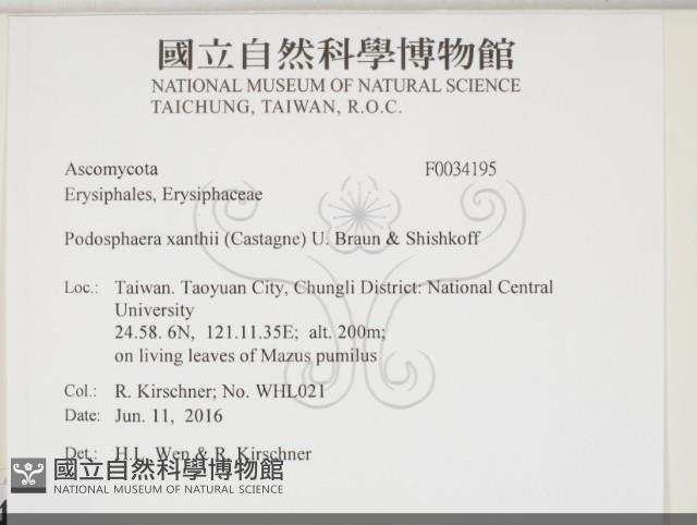 登錄號:F0034195藏品圖，第2張