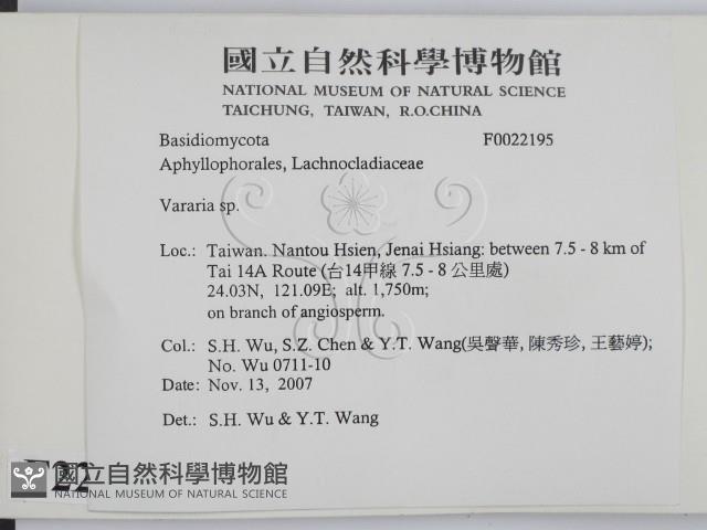 登錄號:F0022195藏品圖，第2張