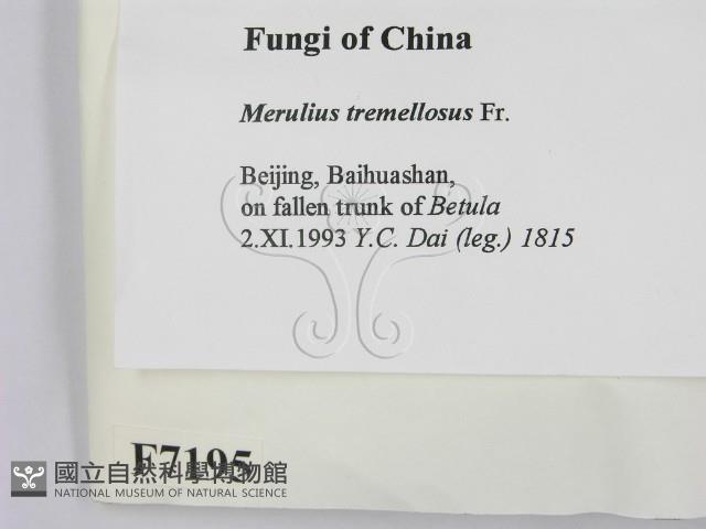 登錄號:F0007195藏品圖，第2張