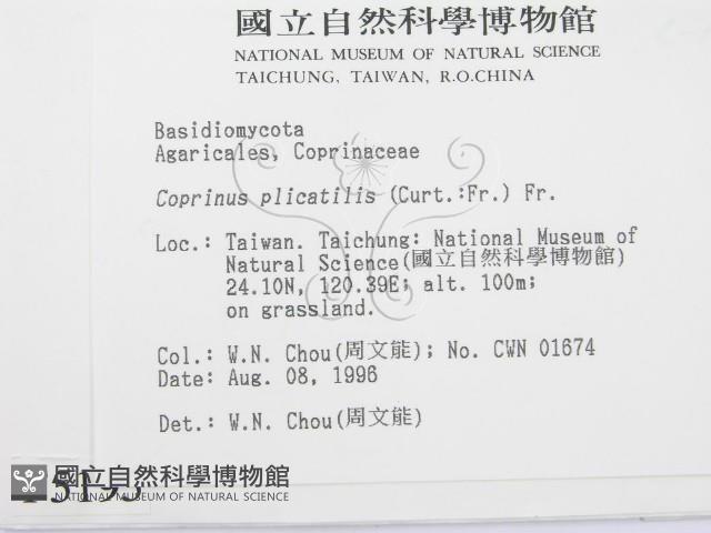 登錄號:F0005195藏品圖，第2張